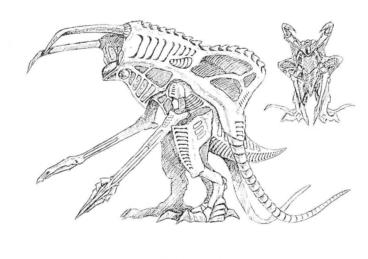 Раскраска Черепозавр с шипами и когтями, вид сбоку и фронтальный вид