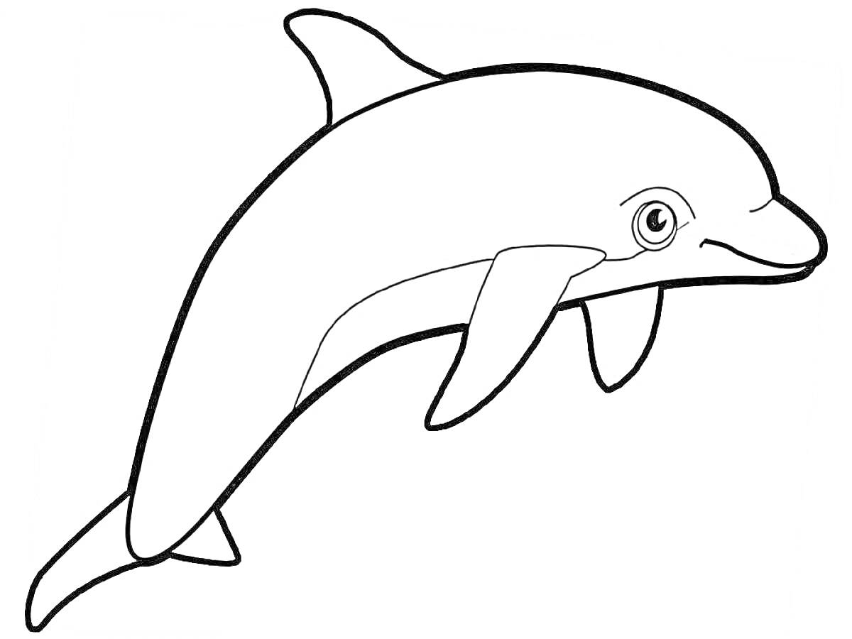 Раскраска Дельфин улыбается в воде