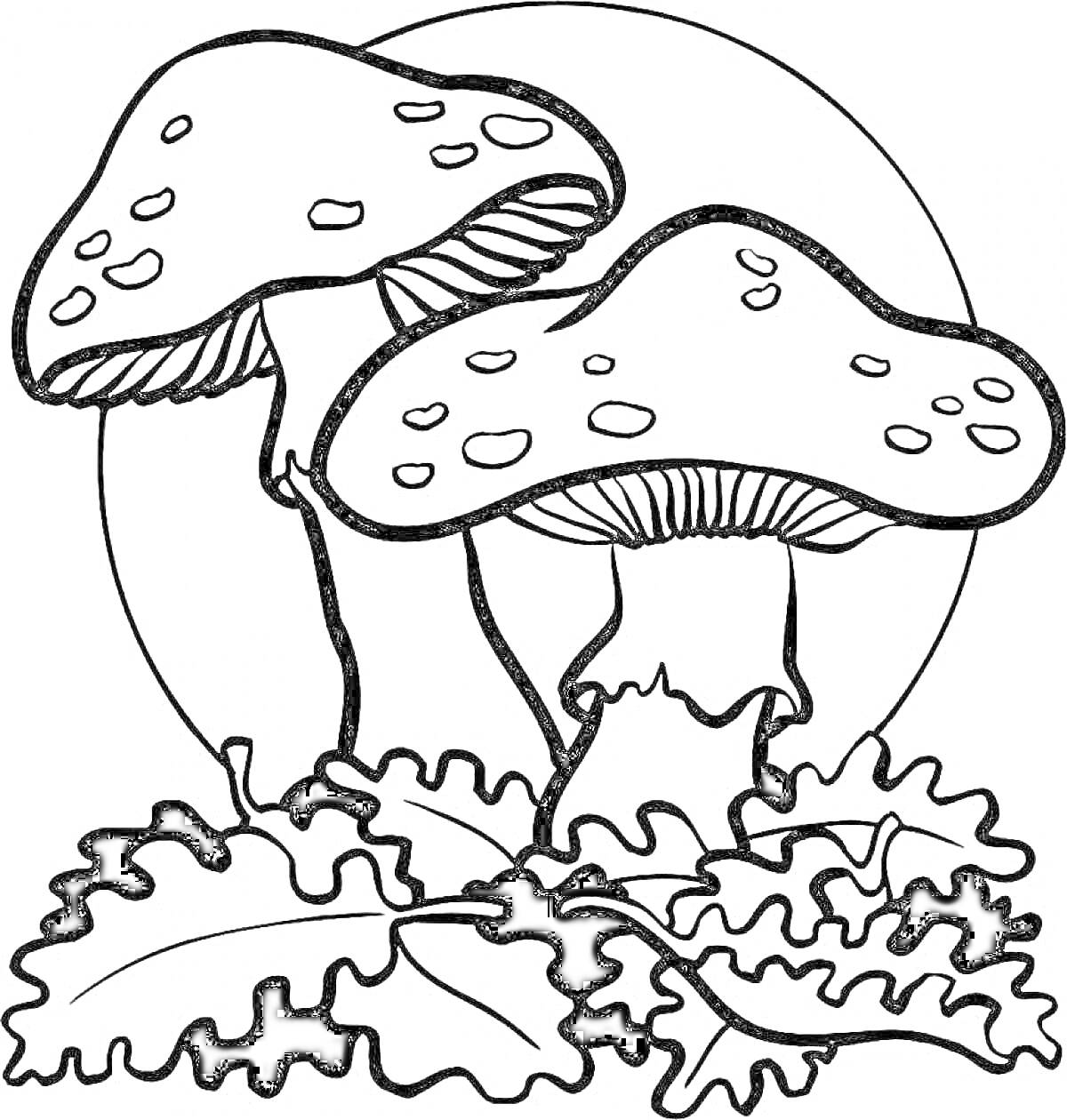На раскраске изображено: Грибы, Лес, Листья, Природа