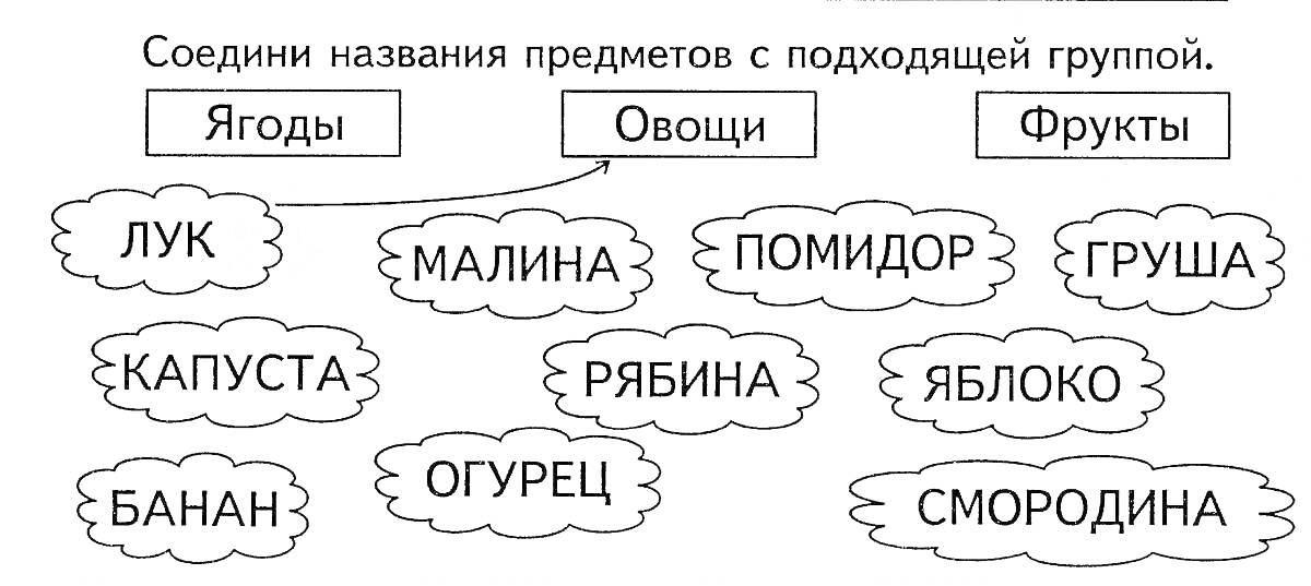 Соедини названия предметов с подходящей группой - Ягоды, Овощи и Фрукты (лук, малина, помидор, груша, капуста, рябина, яблоко, банан, огурец, смородина)