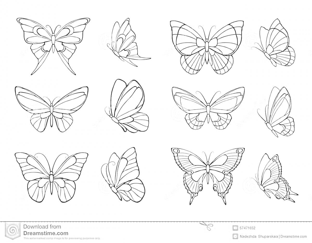 Раскраска Набор из двенадцати контурных изображений бабочек