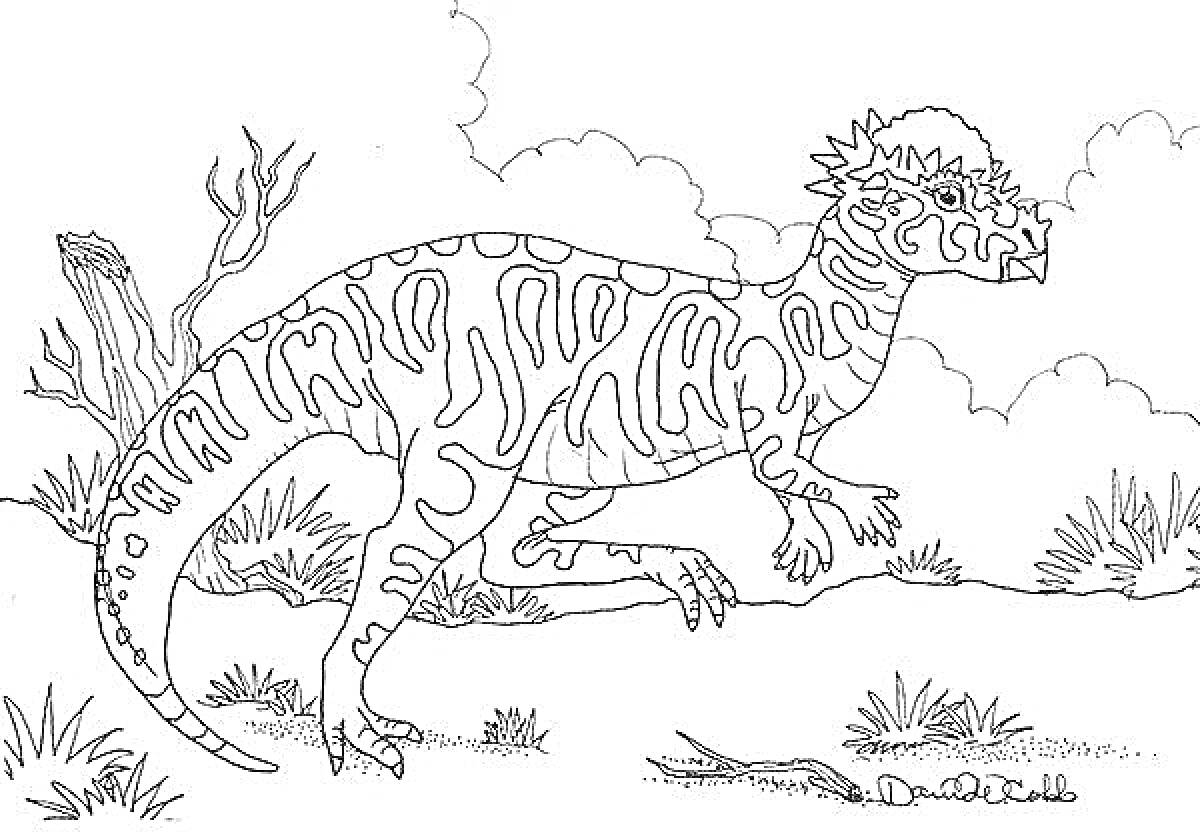 На раскраске изображено: Пахицефалозавр, Динозавр, Природа, Деревья, Облака, Трава