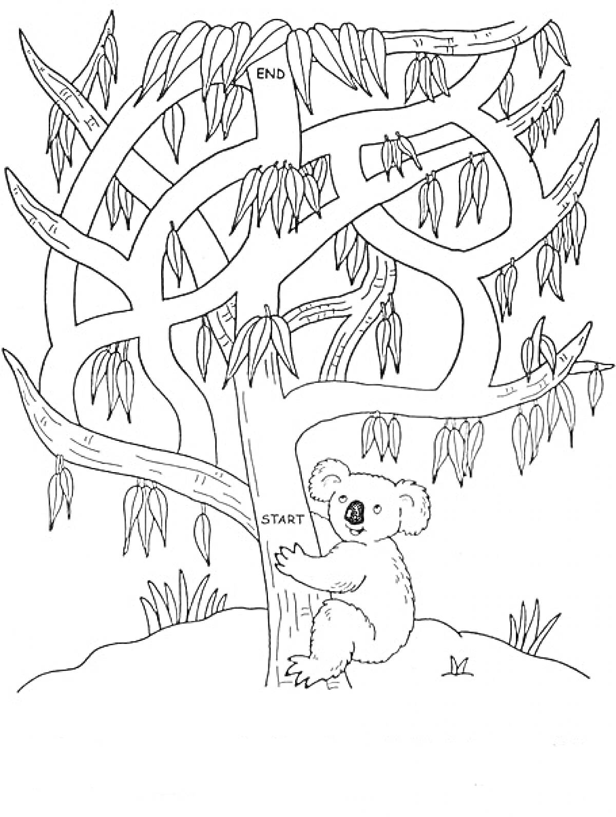 Раскраска Лабиринт на дереве с коалой