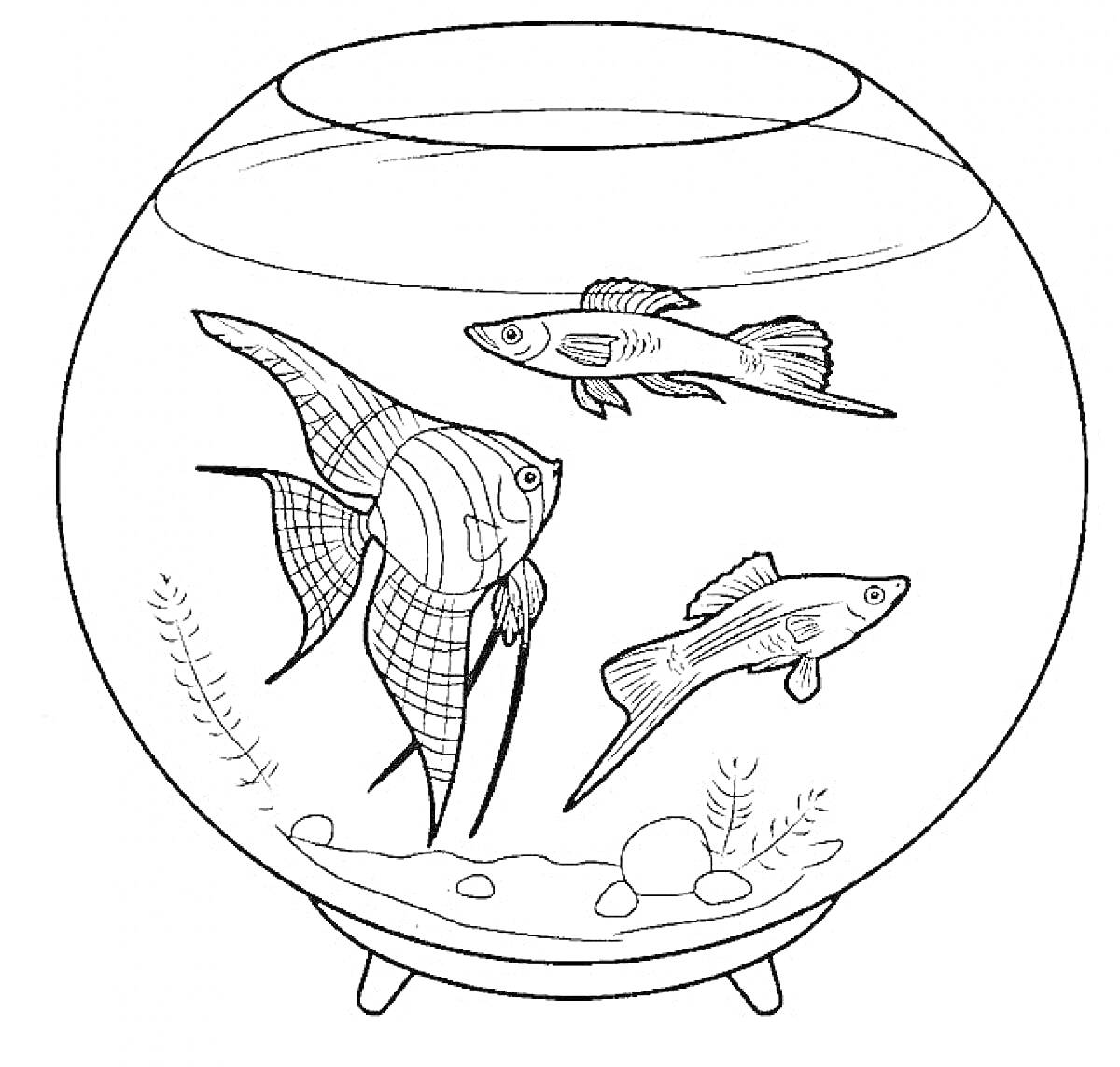 Раскраска Аквариум с рыбками и водорослями