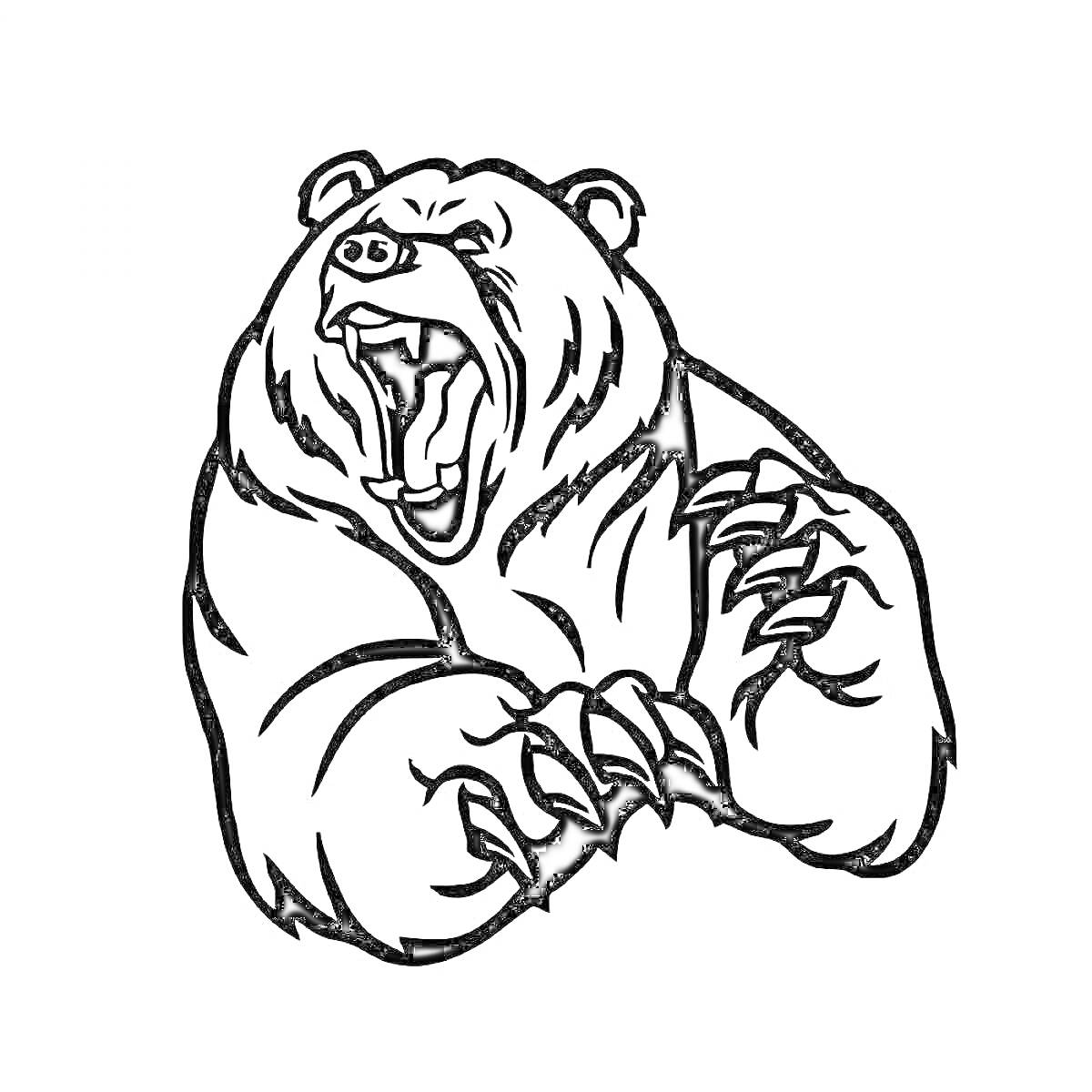 На раскраске изображено: Медведь, Рычание, Клыки, Когти, Агрессивный