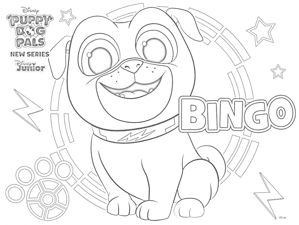Раскраска Щенок Бинго, радостная мордашка, круги, звезды, молнии, логотип, надпись 