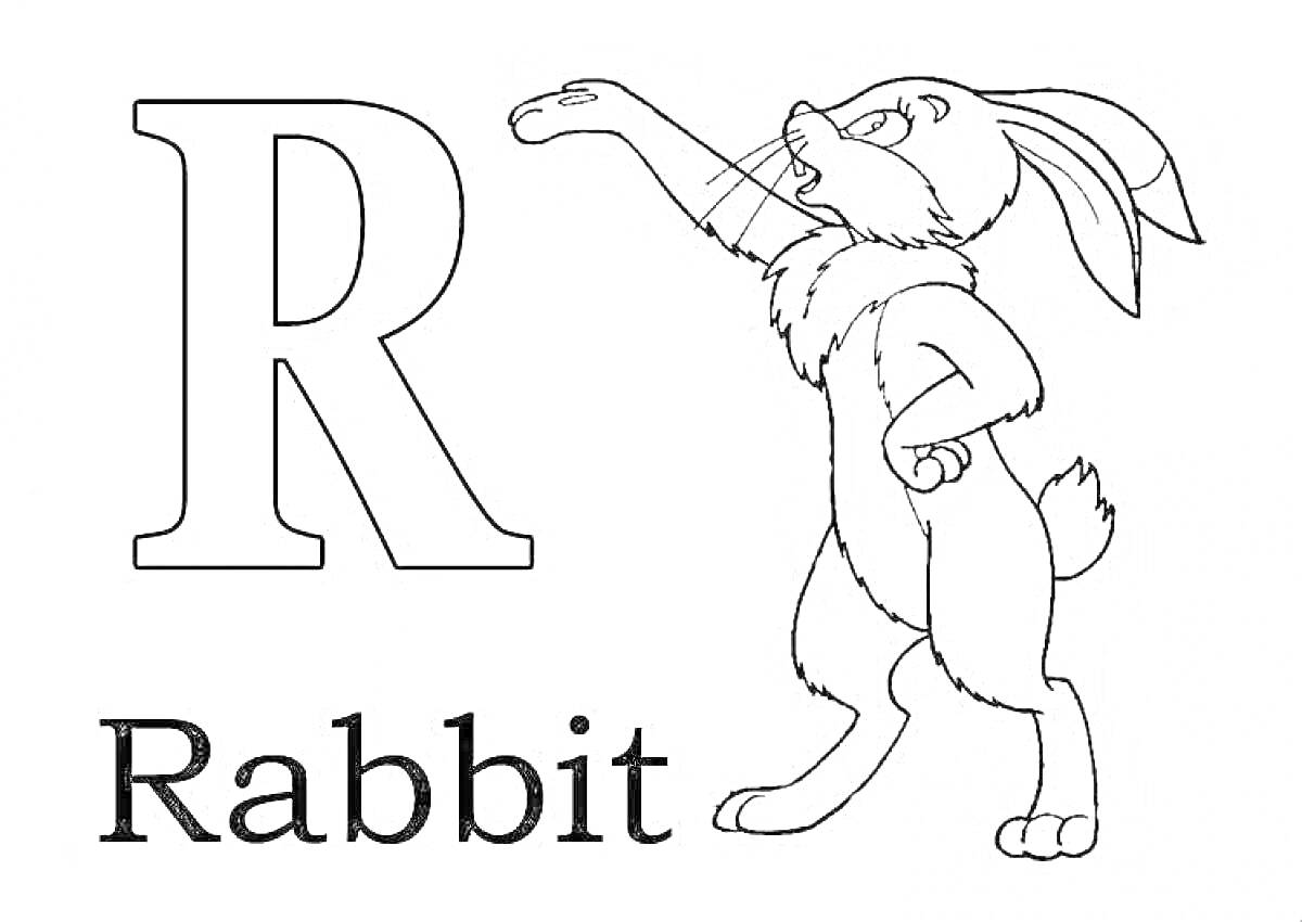 На раскраске изображено: Английский алфавит, Буква R, Кролик, Для детей, Животные, Обучение, Школа, 2 класс