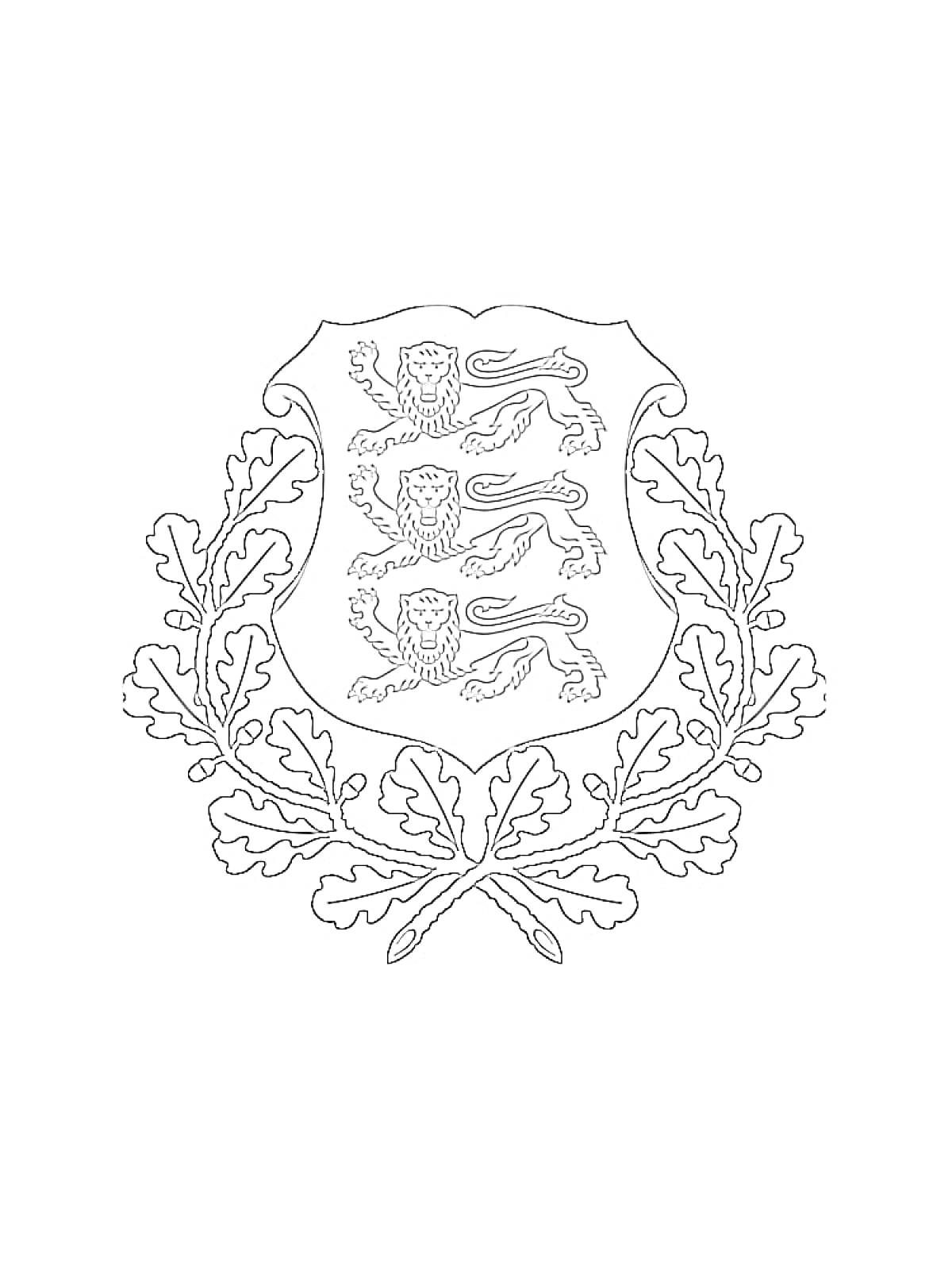 Раскраска Герб с тремя львами и дубовыми листьями