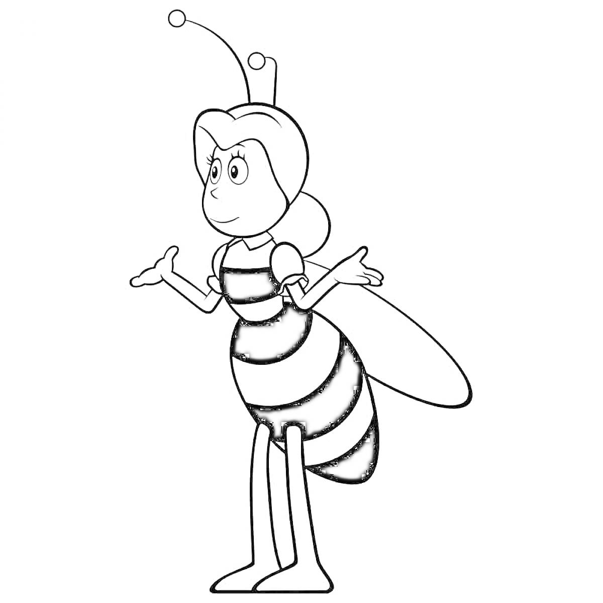 На раскраске изображено: Пчелка, Насекомое, Мультик, Усики, Крылья, Полосатое тело, Поднятые руки