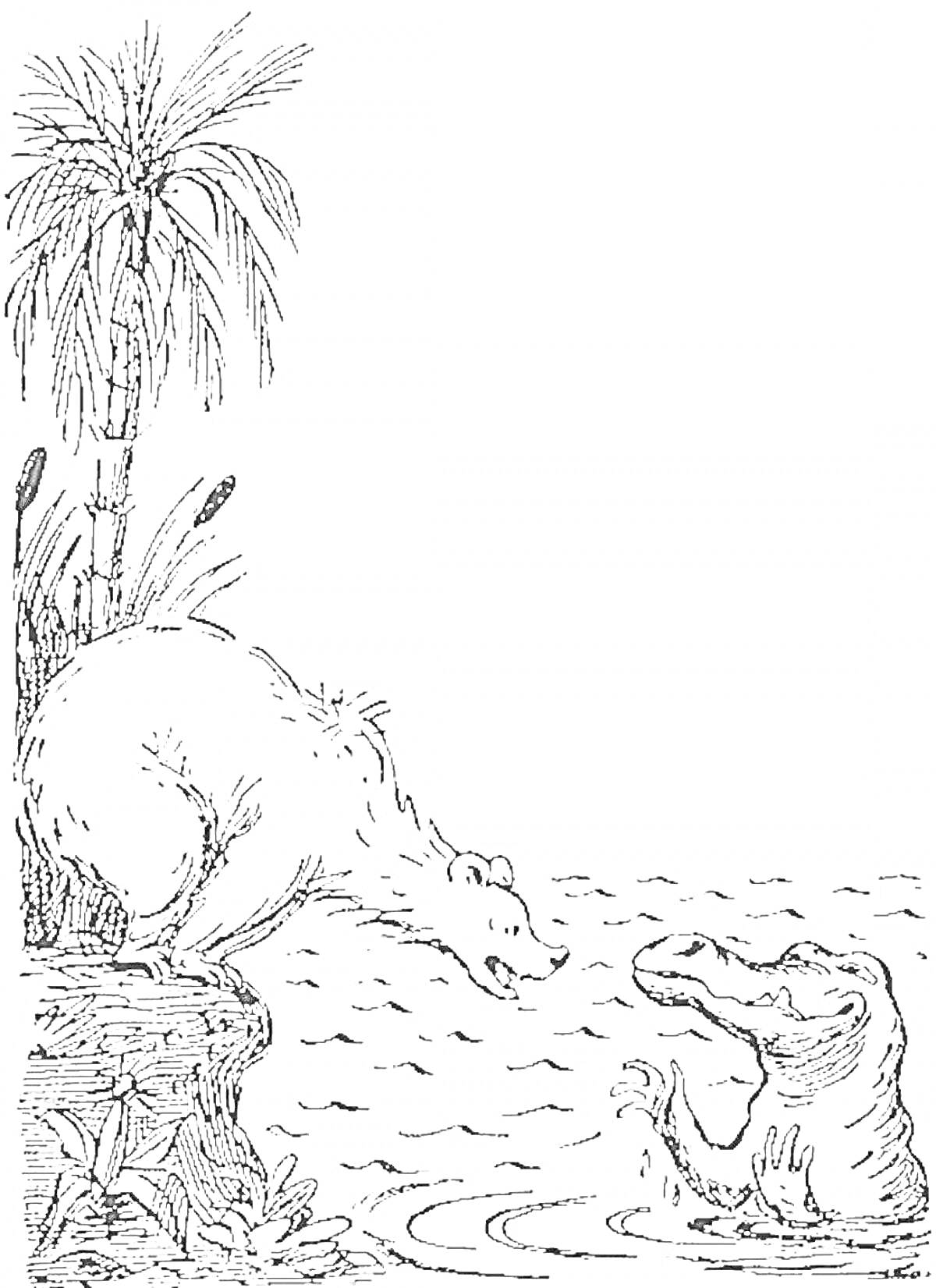 На раскраске изображено: Медведь, Крокодил, Пальмы, Вода, Берег, Трава, Природа