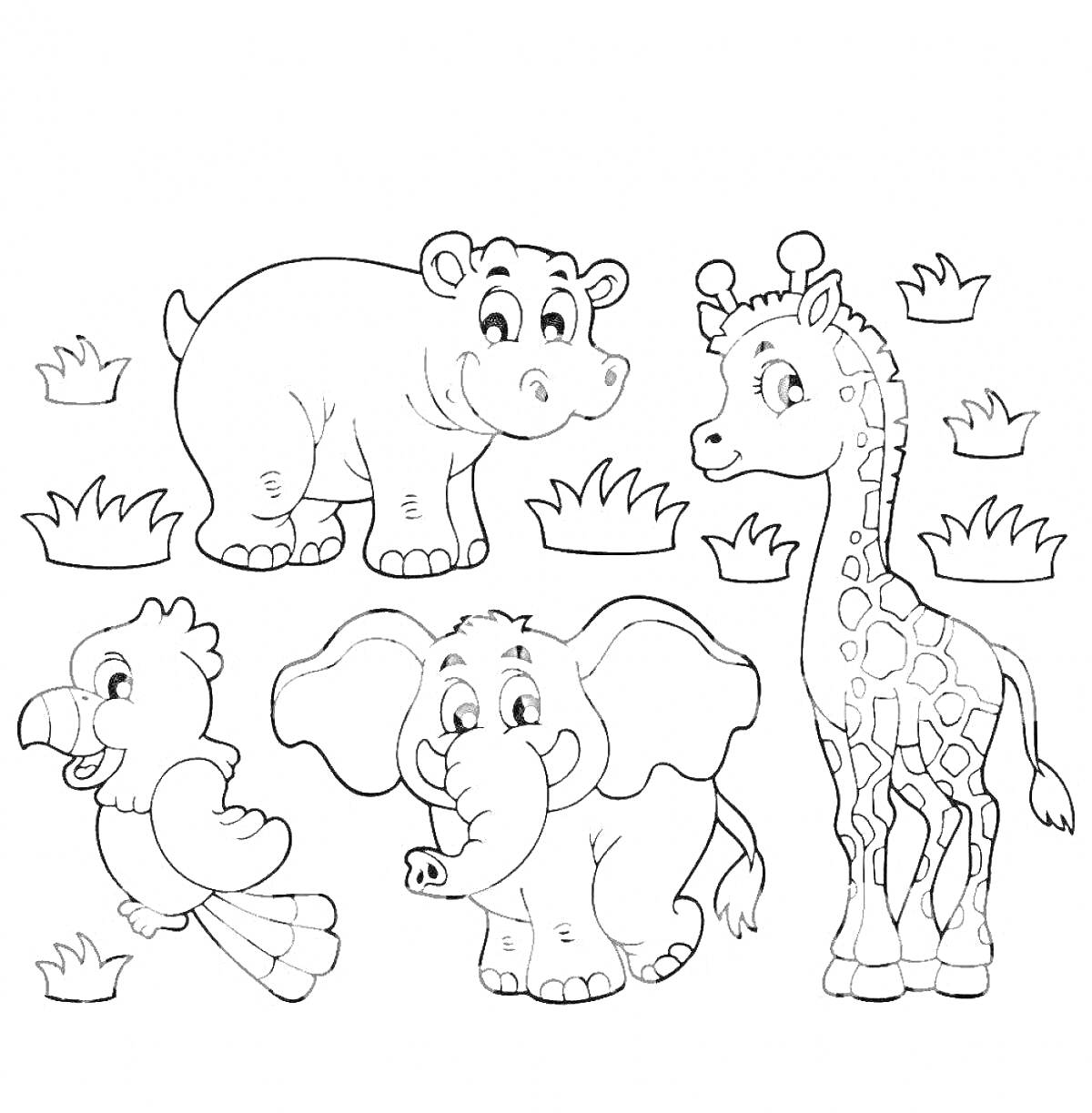 На раскраске изображено: Животные, Африка, Гиппопотам, Слон, Птица, Трава, Обучение, Зоопарк