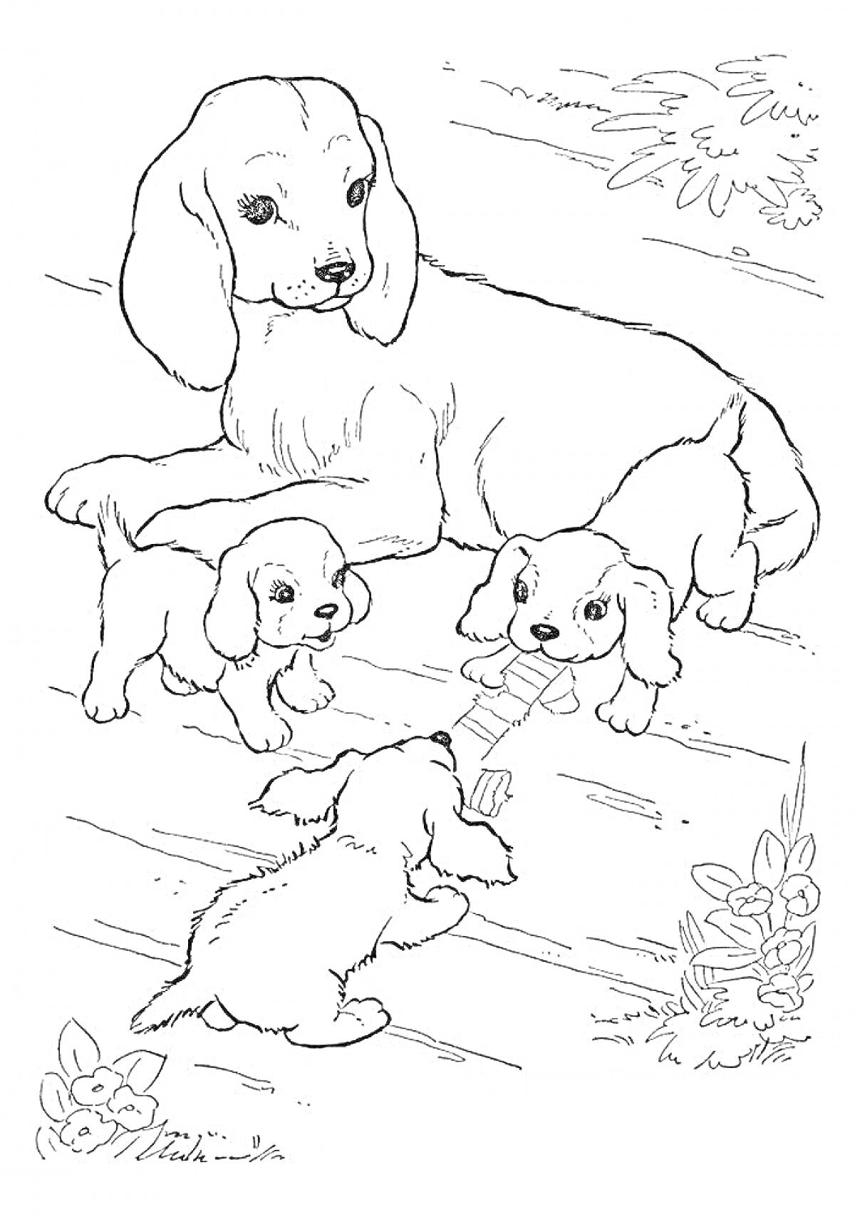На раскраске изображено: Семья животных, Древесина, Растительность, Природа, Собака