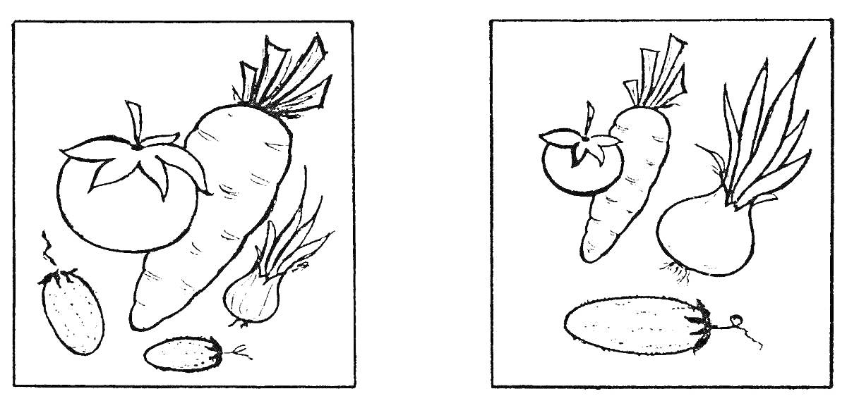 На раскраске изображено: Овощи, Помидор, Морковь, Огурец, Подготовительная группа