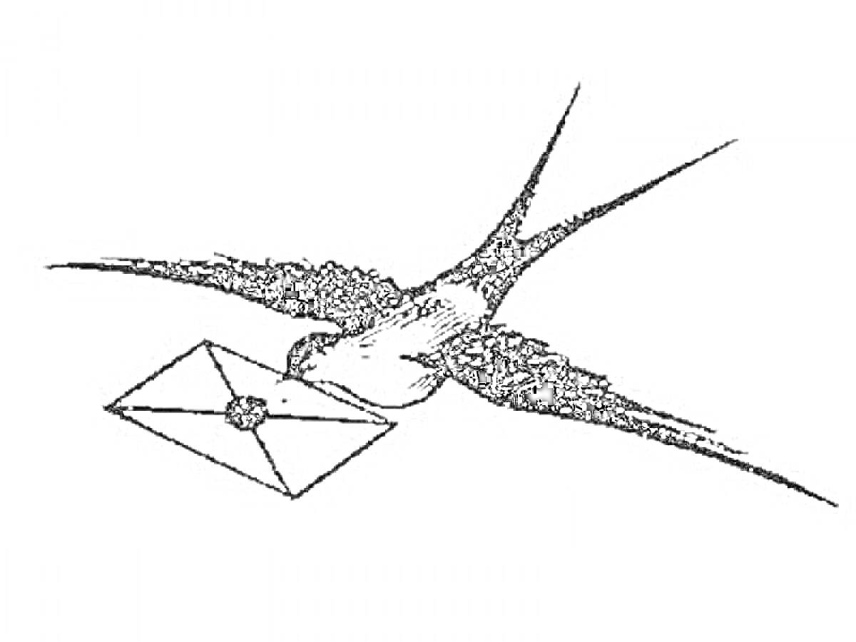 Раскраска Ласточка с письмом в клюве
