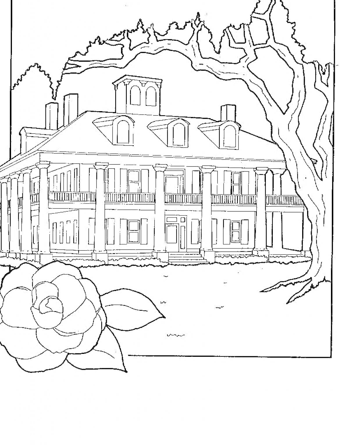 Раскраска Школа мечты с колоннами и цветком на переднем плане
