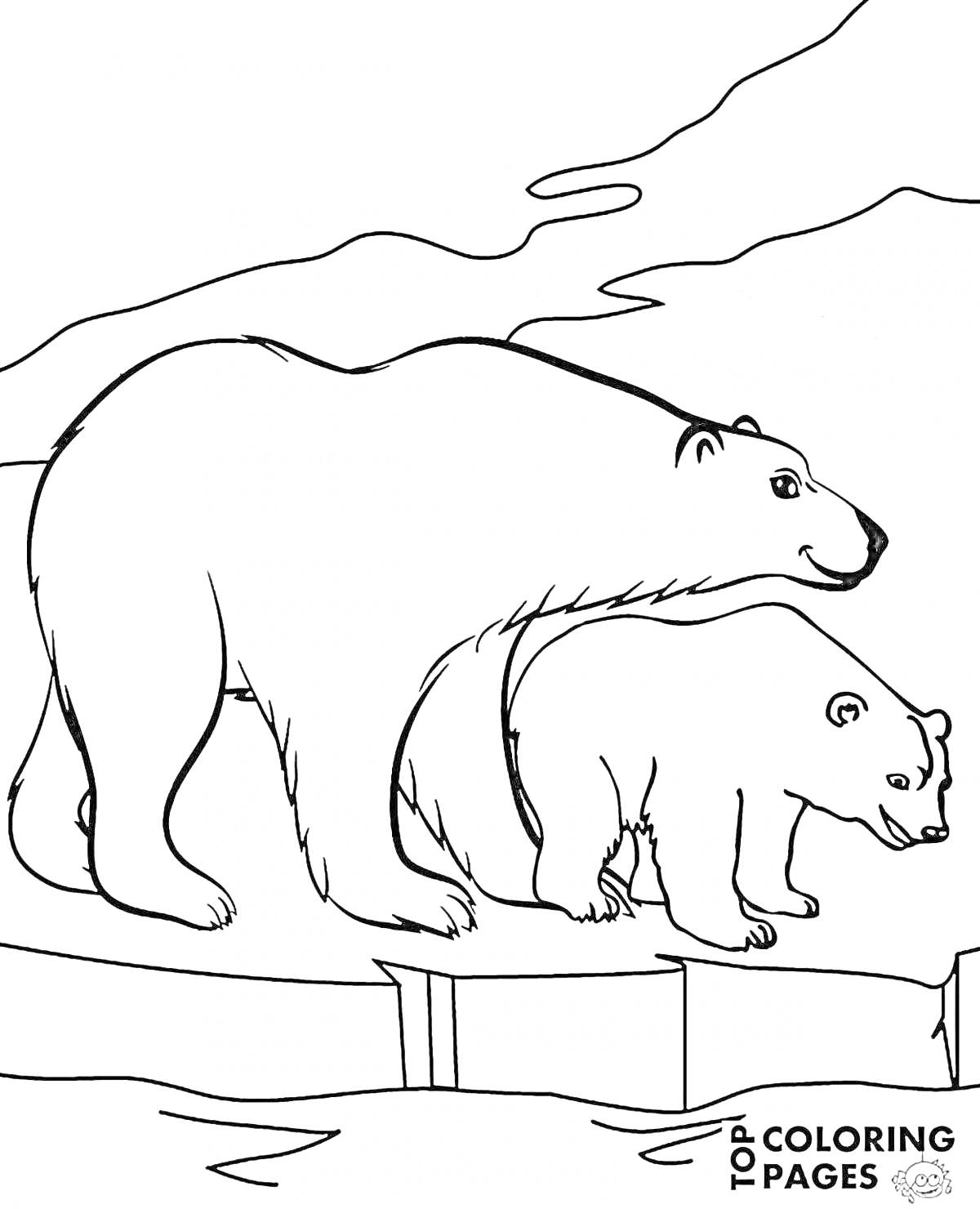 На раскраске изображено: Белый медведь, Льдина, Горы, Природа