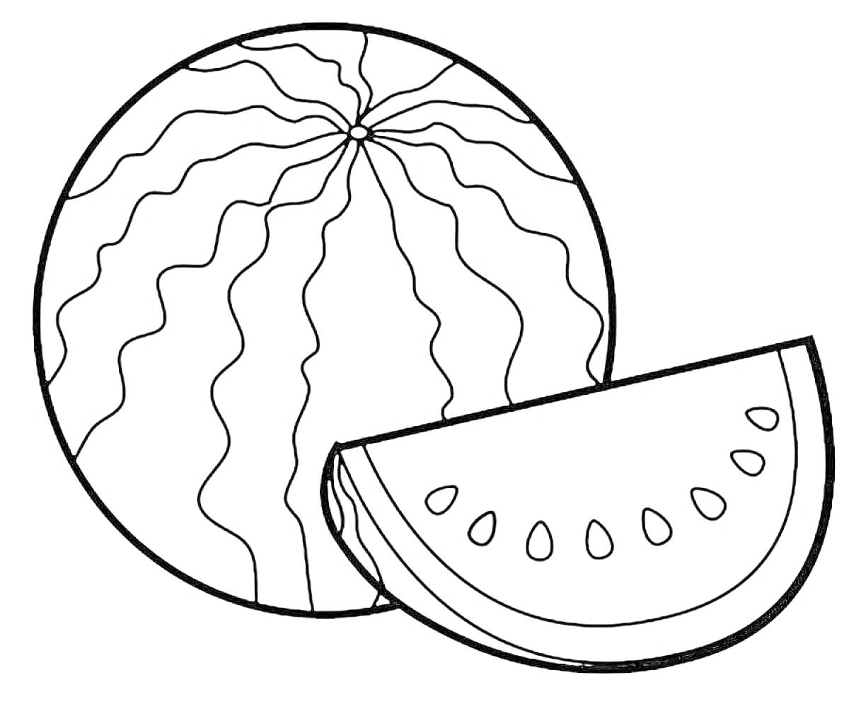 Раскраска арбуз целый и долька арбуза