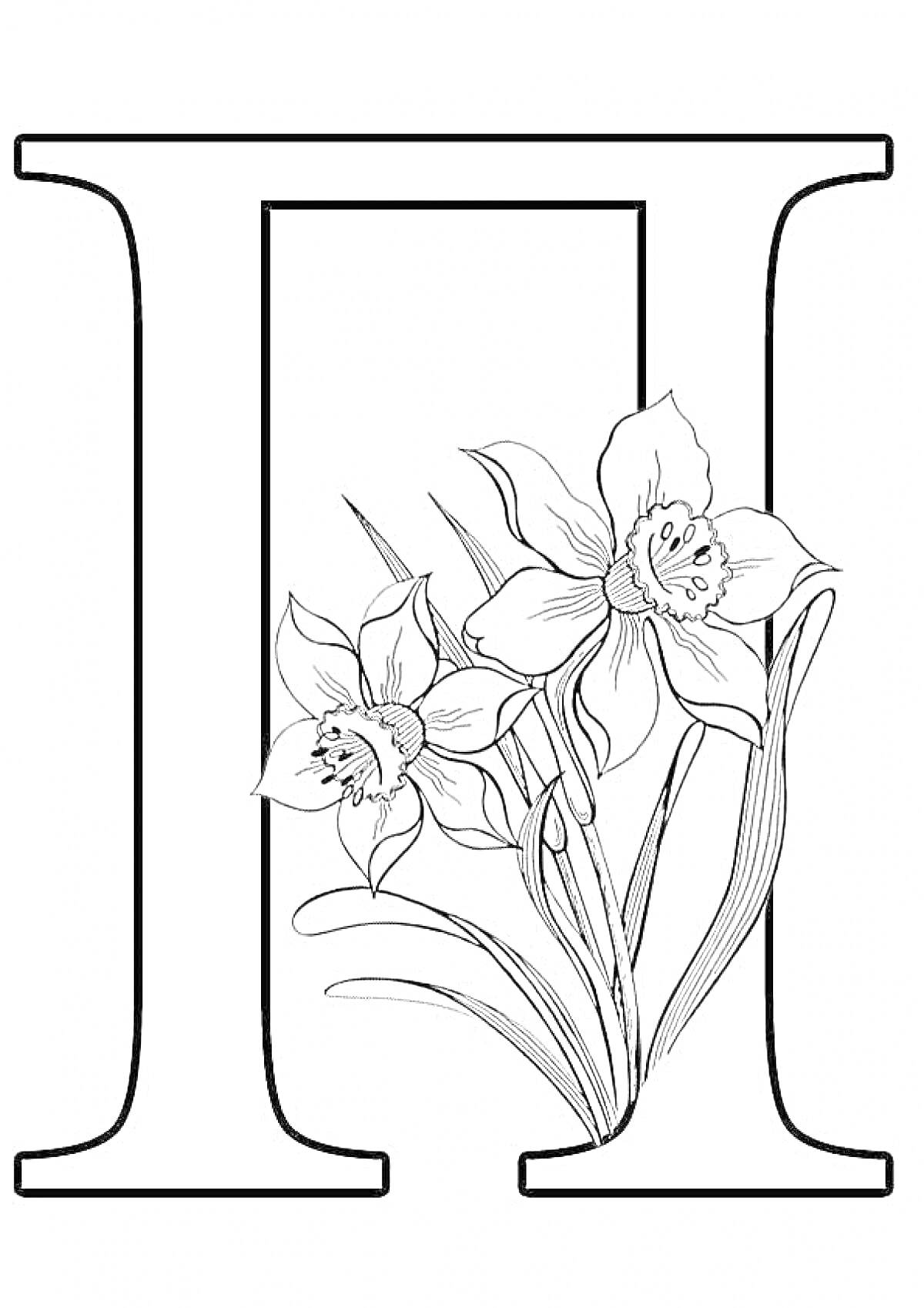 На раскраске изображено: Буква П, Цветы, Нарциссы, Растительность