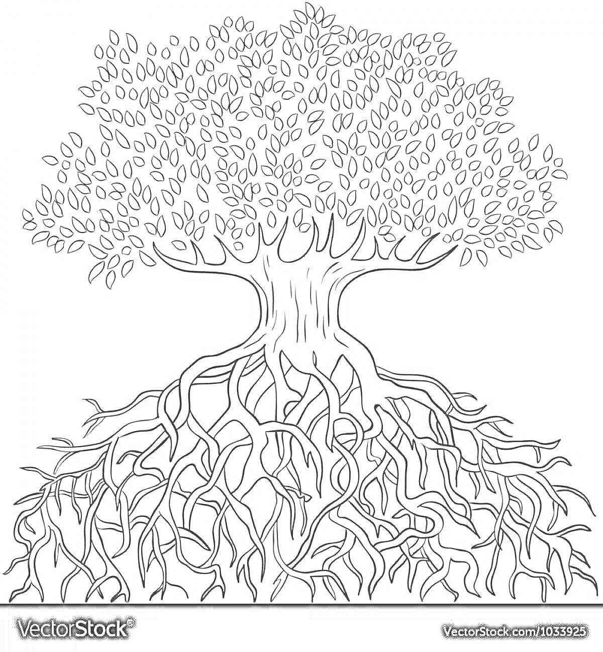 Раскраска Дерево с листвой и корнями