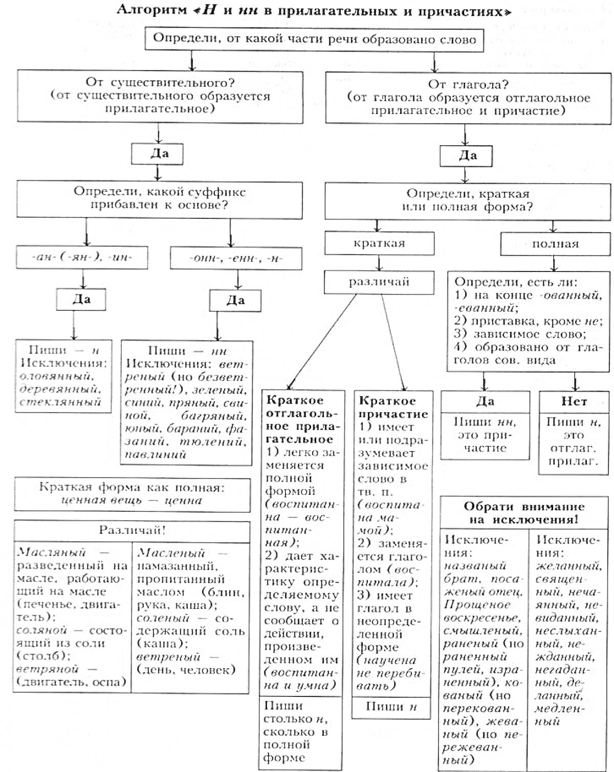 На раскраске изображено: Орфография, Правописание, Прилагательные, Причастия, Н и НН