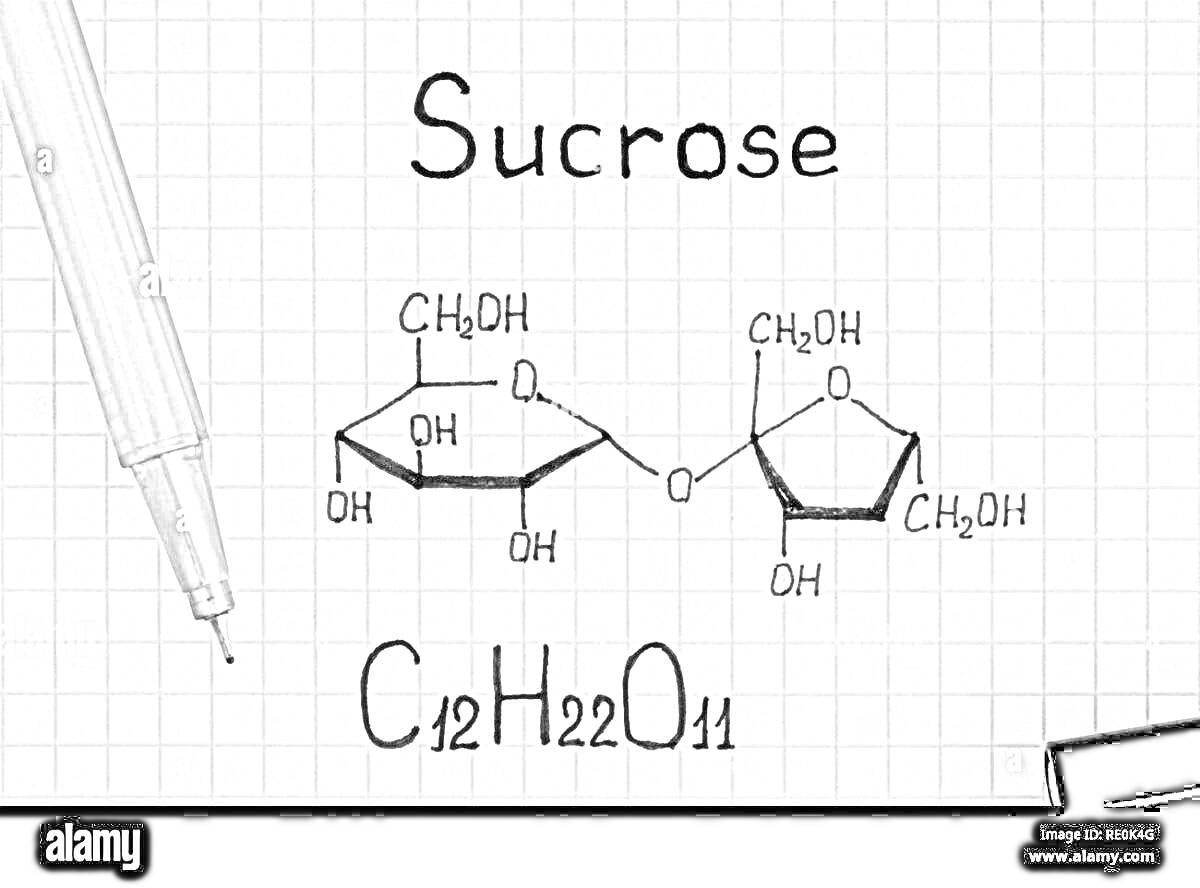 Раскраска Изображение молекулы сахарозы с химической формулой и структурной схемой