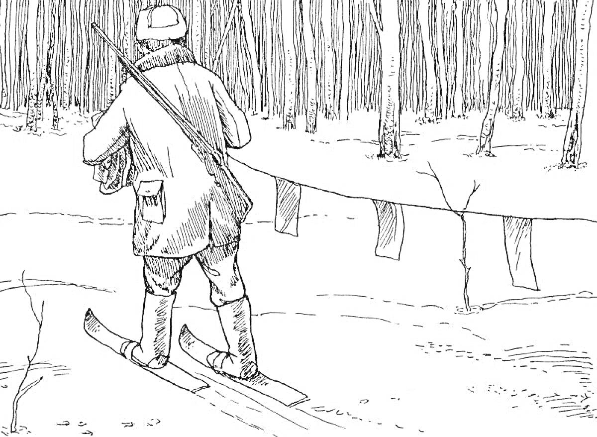 На раскраске изображено: Охотник, Лыжи, Зима, Лес, Ружьё, Охота, Снег