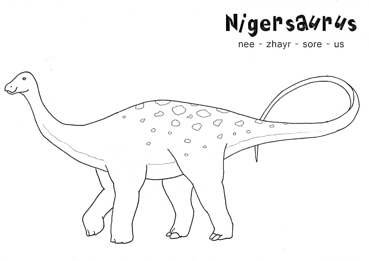 Раскраска Nigersaurus, травоядный динозавр с длинной шеей и хвостом, пятнистая спина