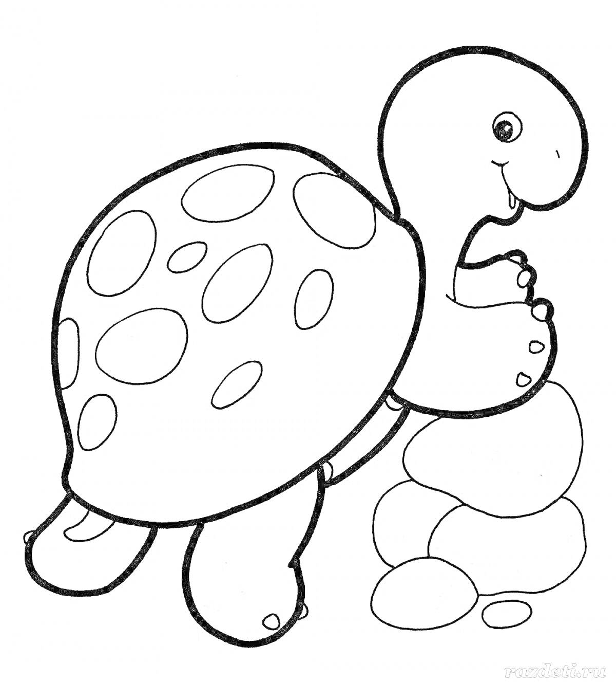 Раскраска Черепаха с пятнистыми панцирем на фоне камней