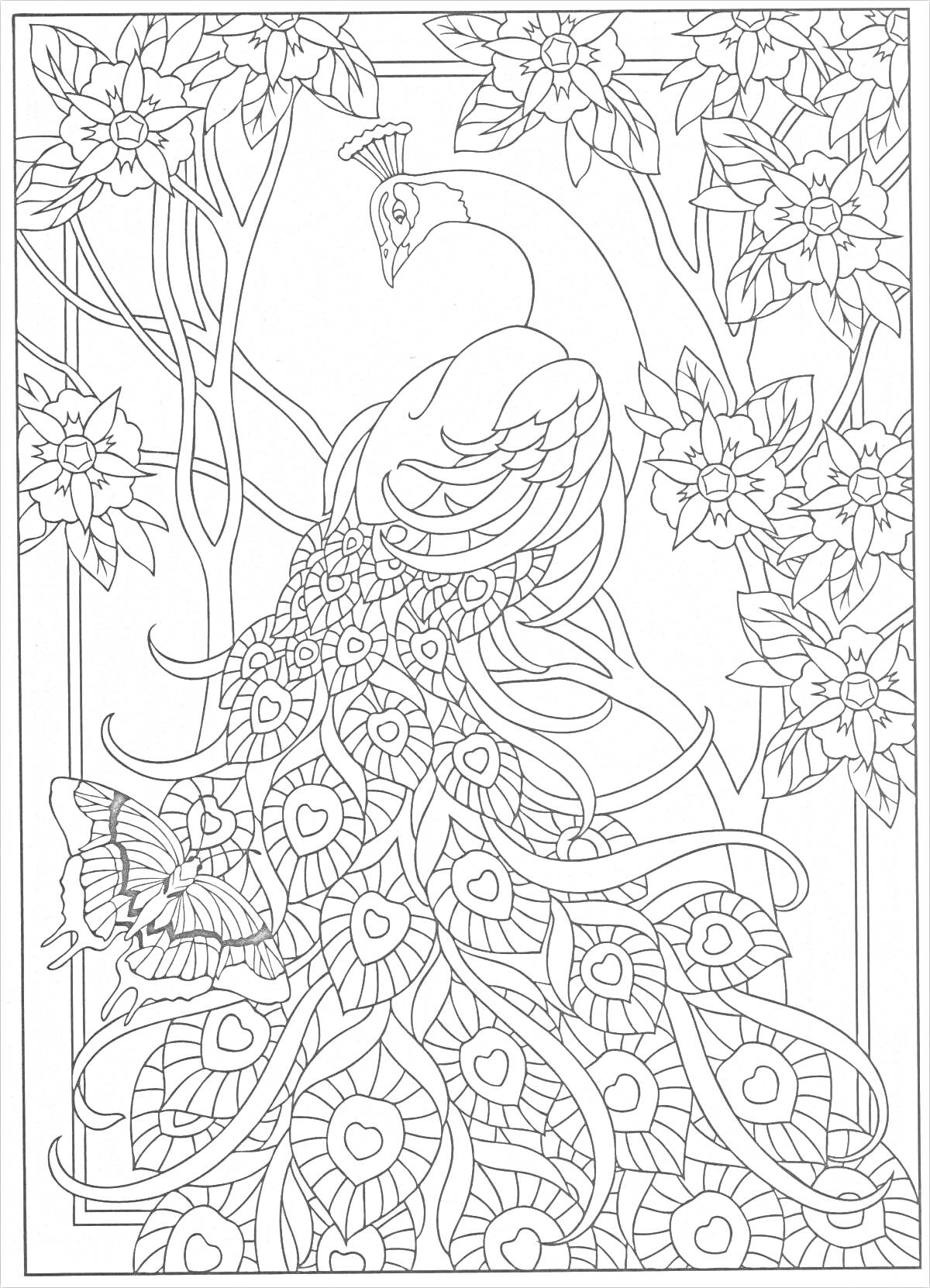 РаскраскаПавлин на ветке с цветами и бабочкой