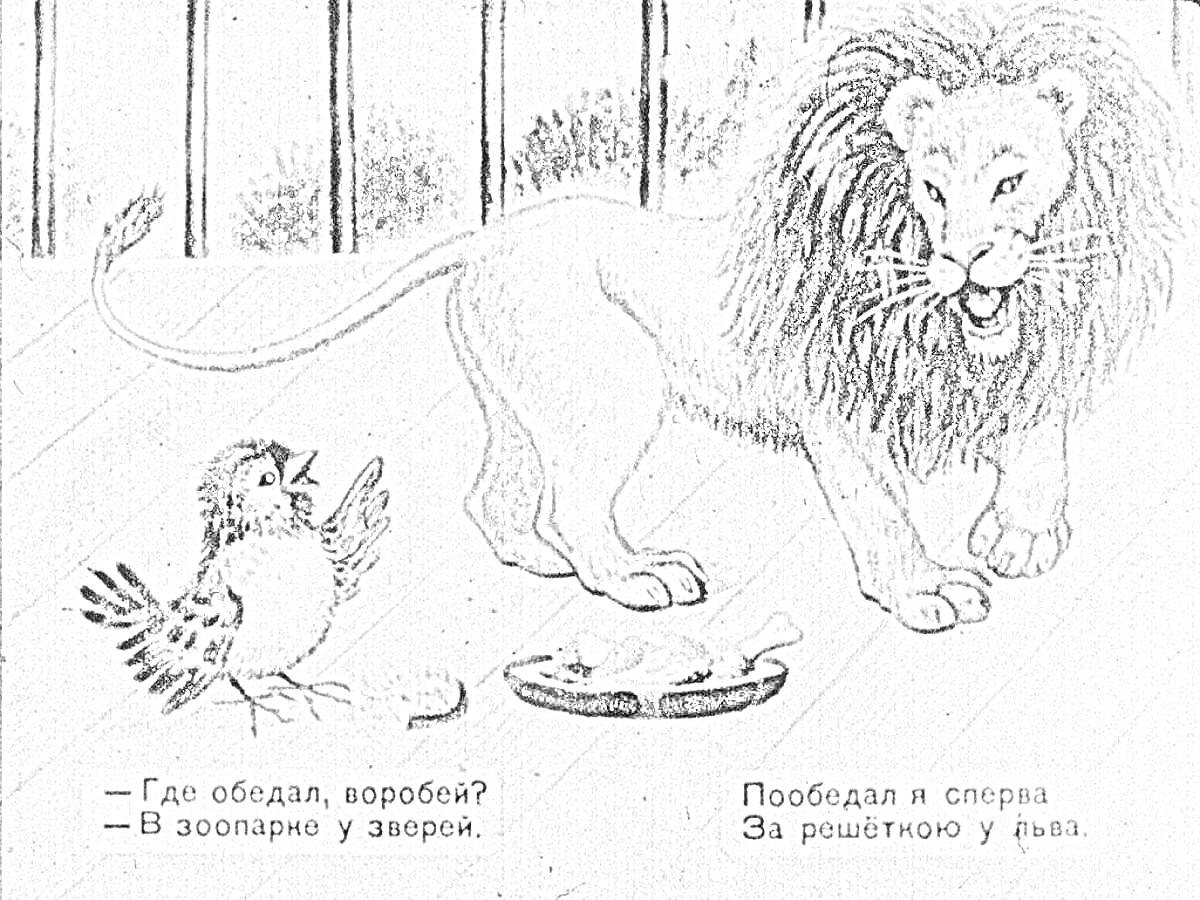 Раскраска Воробей и лев в зоопарке за решеткой