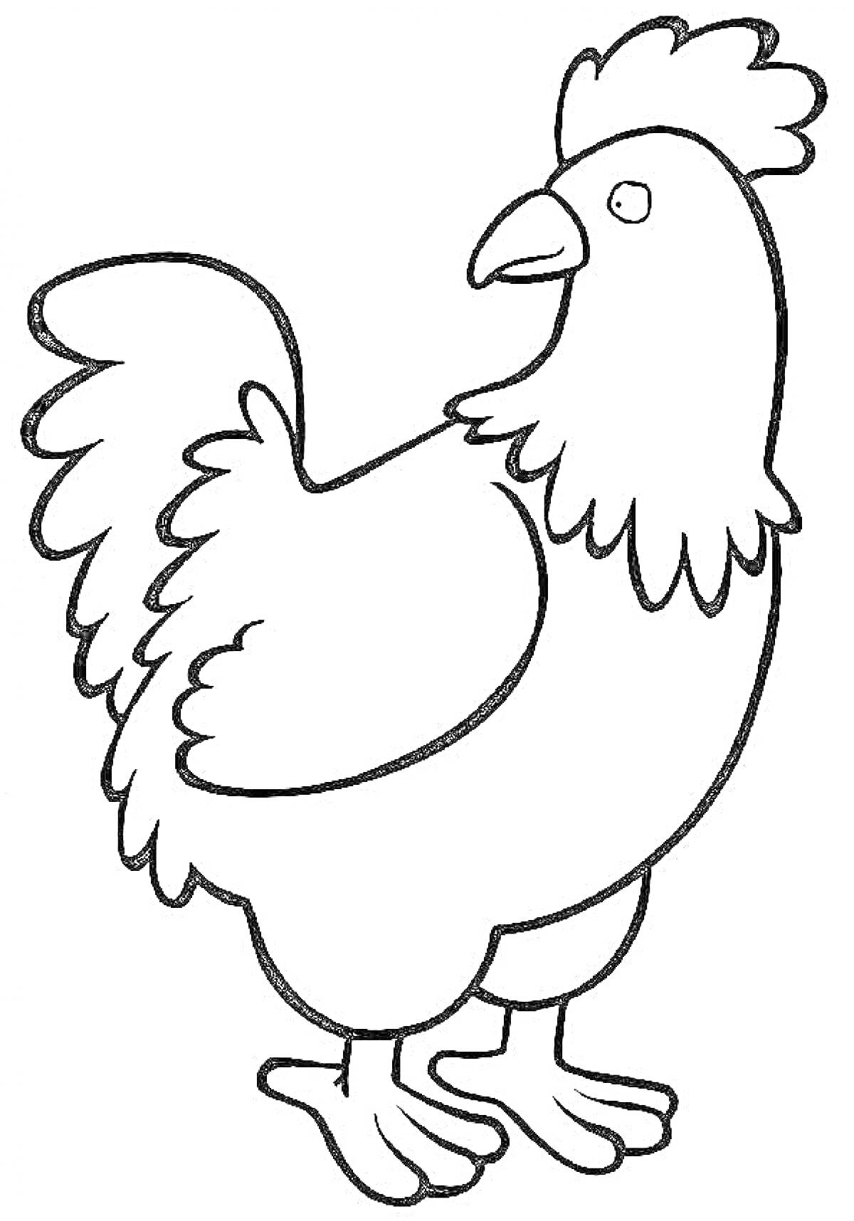 Раскраска Петушок с гребешком, хвостом и клювом