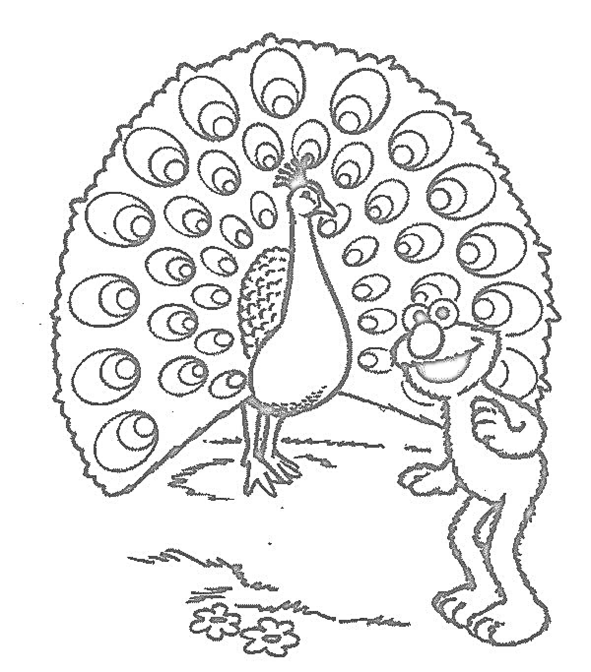 На раскраске изображено: Павлин, Птица, Хвост, Анимационный персонаж, Природа, Трава, Цветы