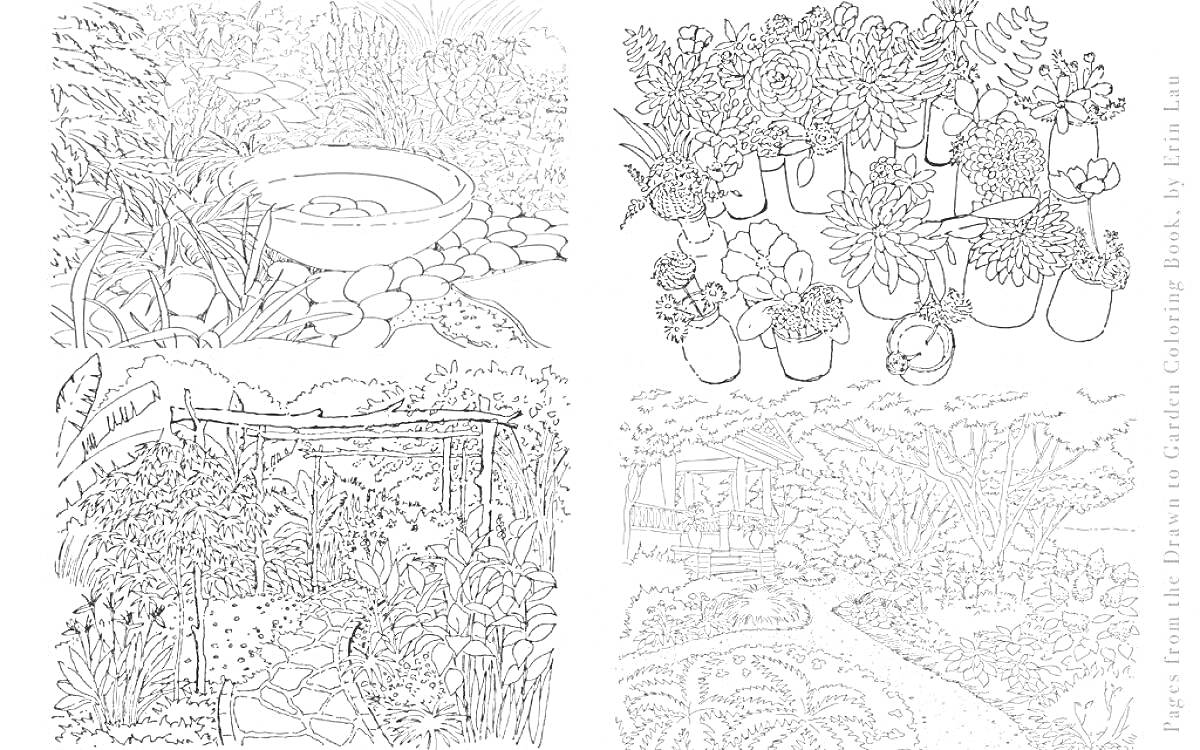 Раскраска Сад с фонтаном, горшками с цветами, аркой-перголой и дорожкой