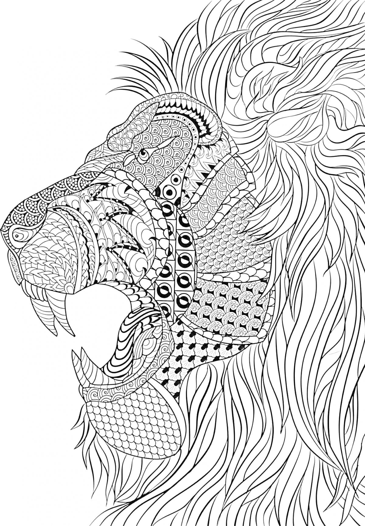 На раскраске изображено: Лев, Узоры, Антистресс, Сложные детали, Животные, Мандала, Контурные рисунки