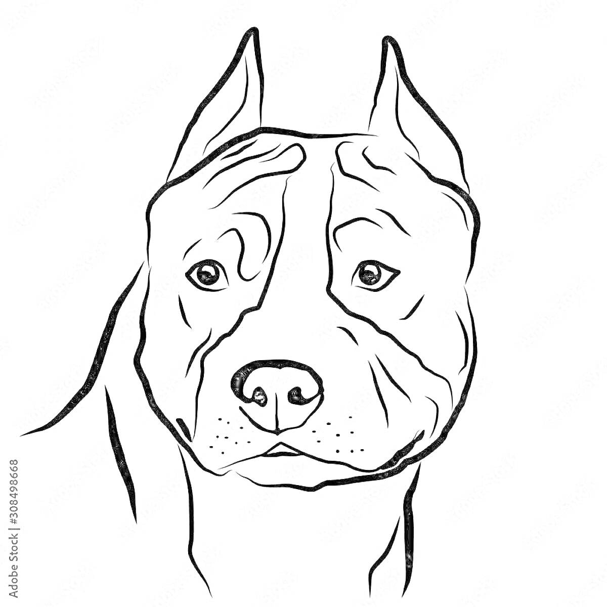 Раскраска Портрет амстаффа в линиях.