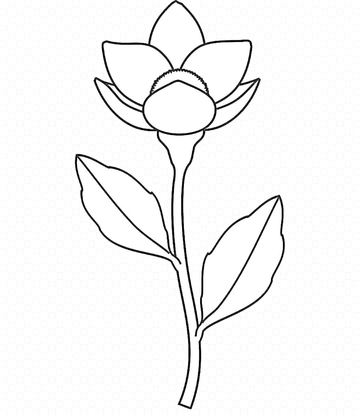Раскраска цветок со стеблем и листьями