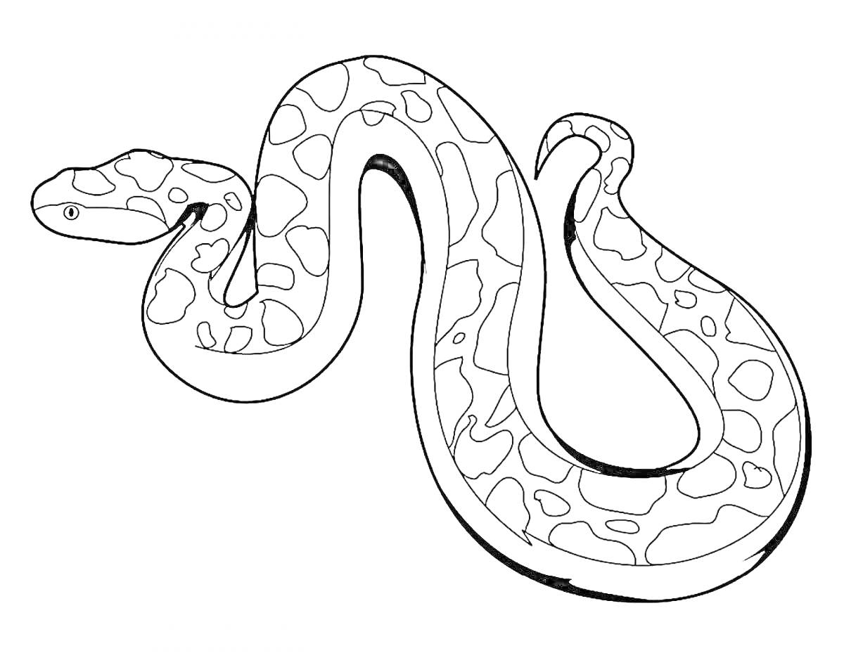 На раскраске изображено: Змея, Узоры, Контур, Рептилии, Распечатать, Для детей, Животное