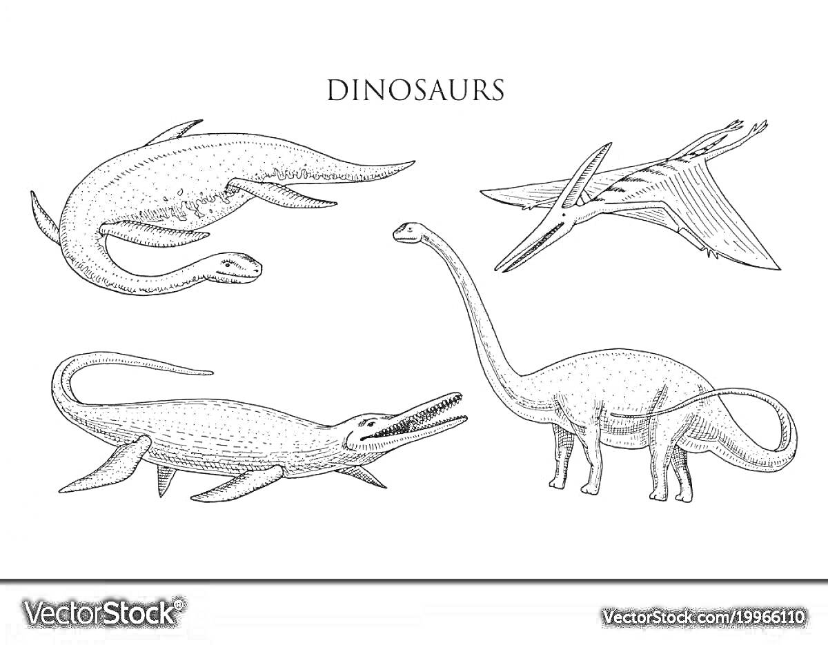 Раскраска Эласмозавр, плезиозавр, ихтиозавр и птерозавр