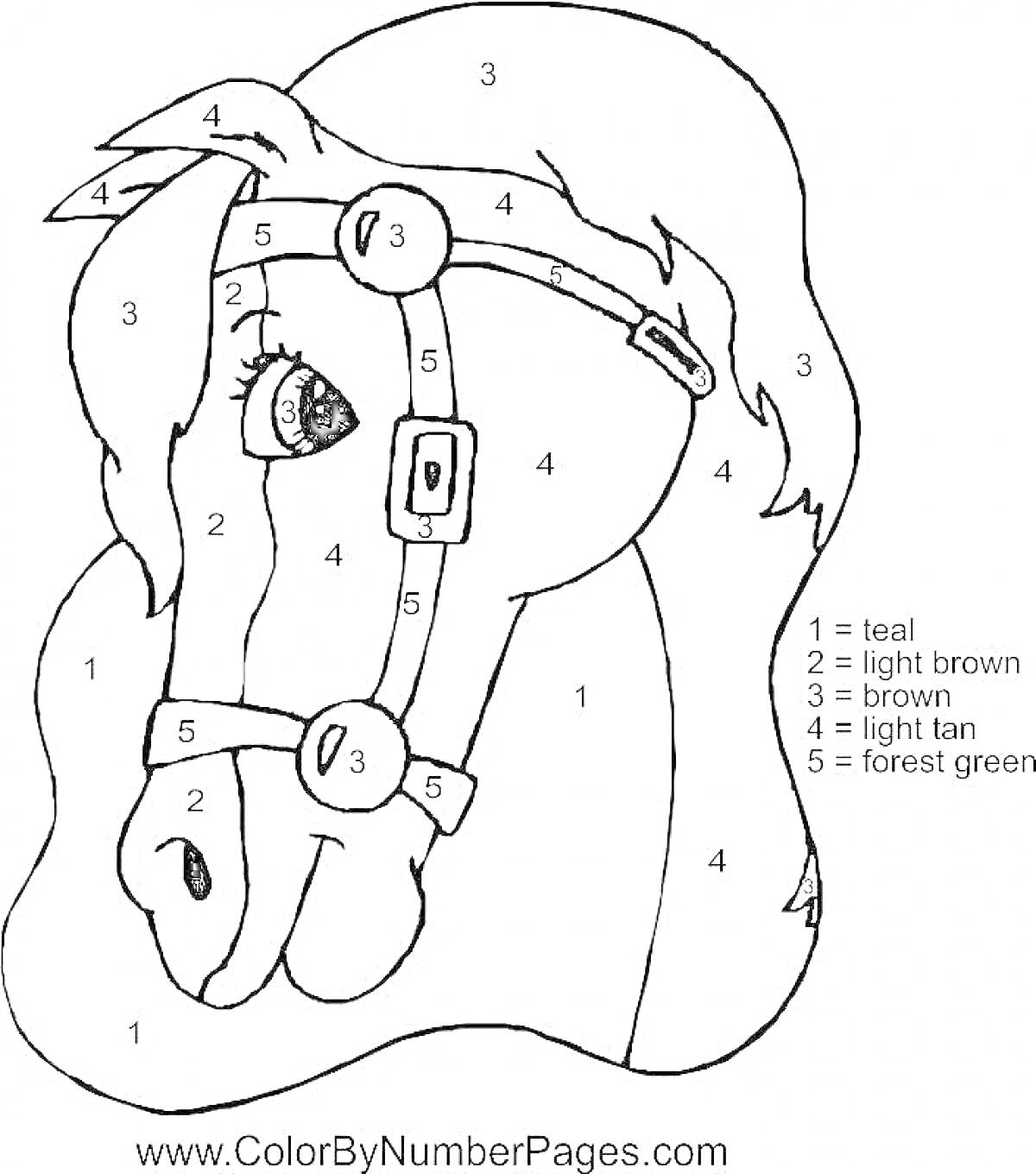 На раскраске изображено: По номерам, Лошадь, Голова, Сбруя, Brown