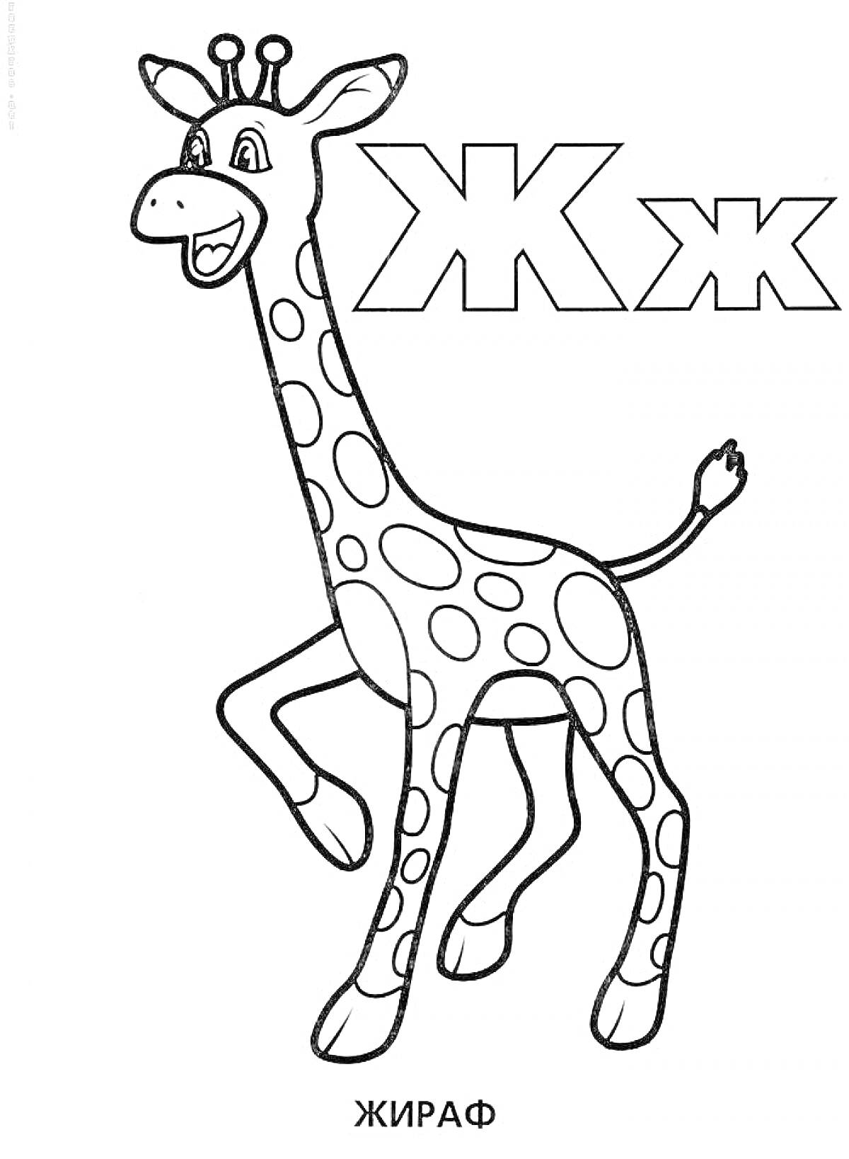 Раскраска Жираф с буквами Ж и ж