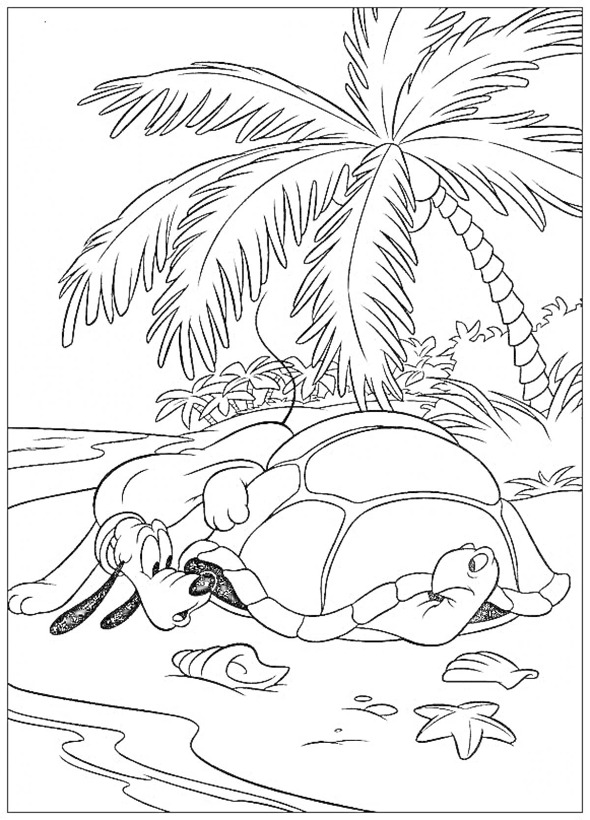 На раскраске изображено: Черепаха, Собака, Пляж, Море, Ракушка, Тропики, Природа, Листья, Пальмы, Океаны