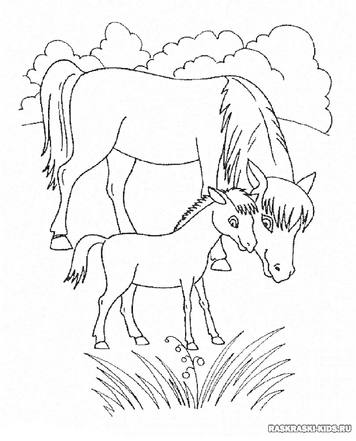 На раскраске изображено: Лошадь, Жеребенок, Животные, Детеныши, Луг, Трава, Облака