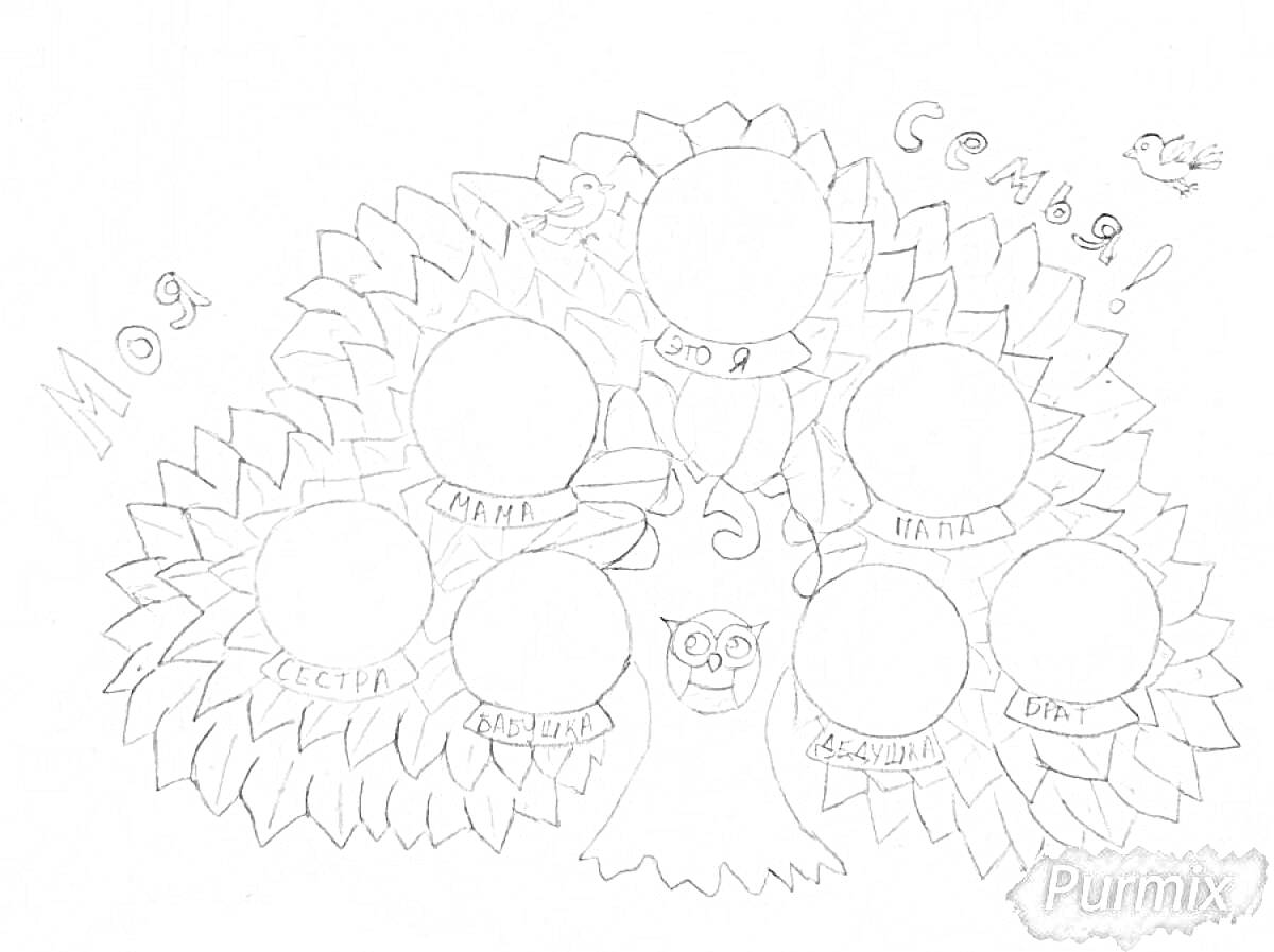 Раскраска Родословное дерево с пустыми кругами для фотографий или имен членов семьи, совой в центре дерева, надписью 
