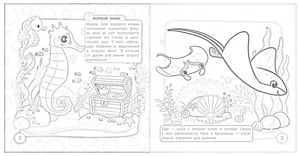 Раскраска Морской конек и сундук с сокровищами, скат и морские обитатели