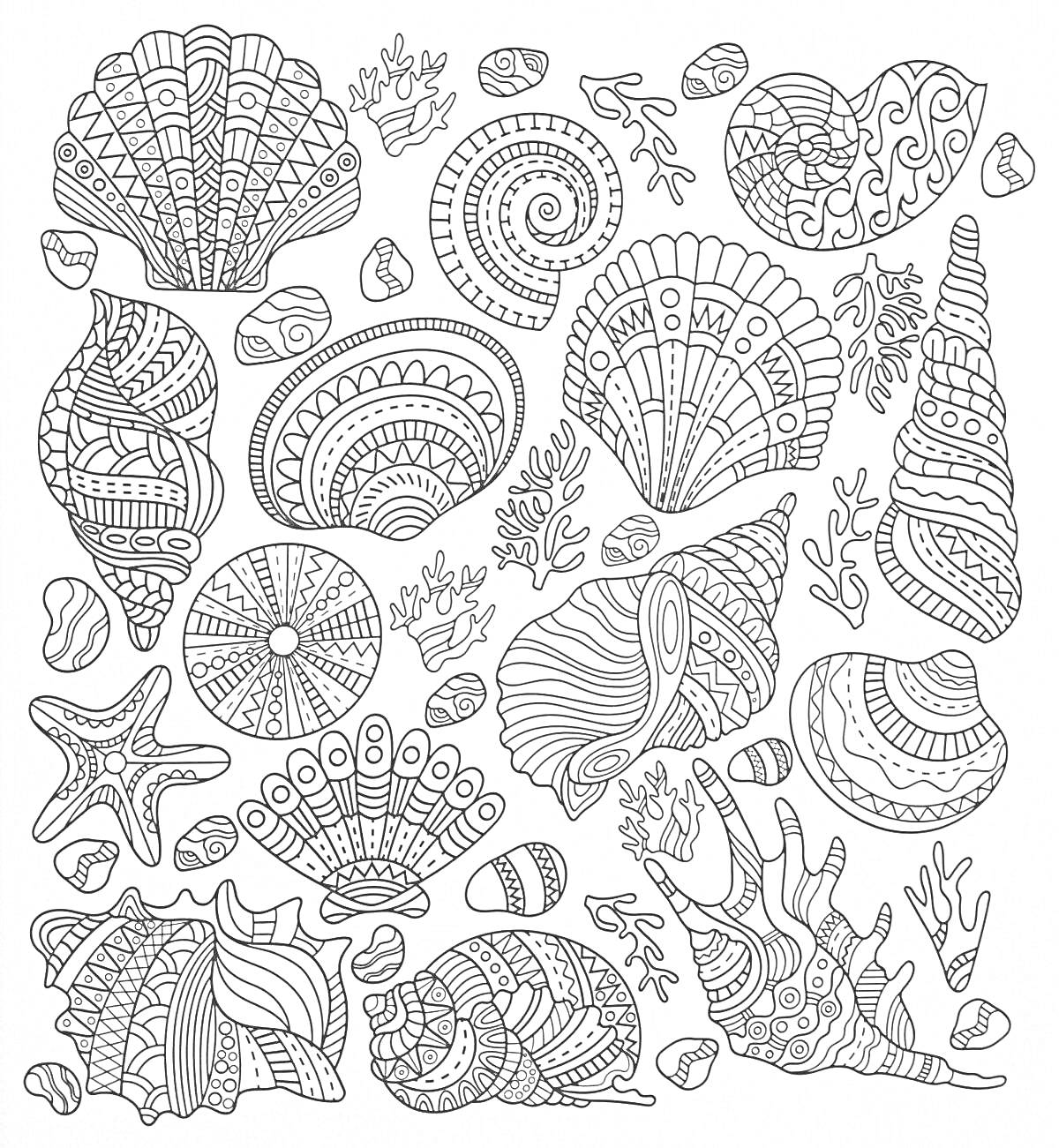 Раскраска Морские узоры с ракушками, звёздчатым кораллом и водорослями