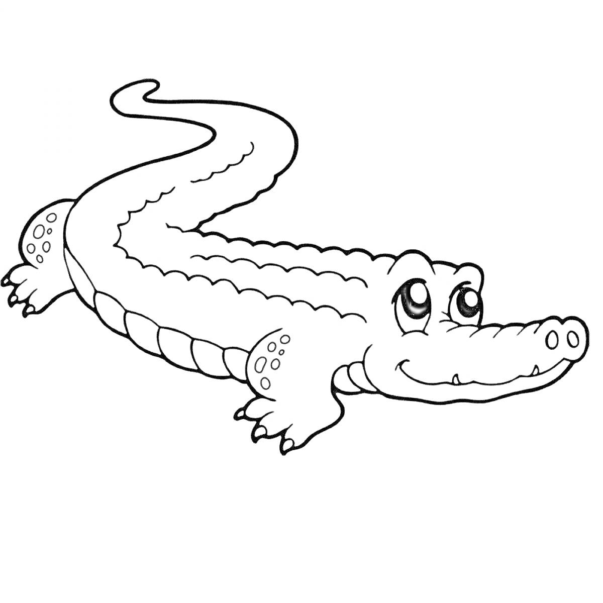 Раскраска Крокодил с большими глазами и улыбкой