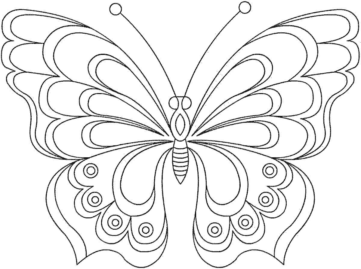 Раскраска Трехмерная бабочка с детализированными крыльями, антеннами и узорами
