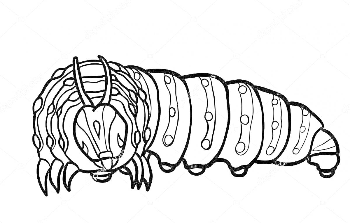 Раскраска Мопс в образе гусеницы с полосками и антеннами
