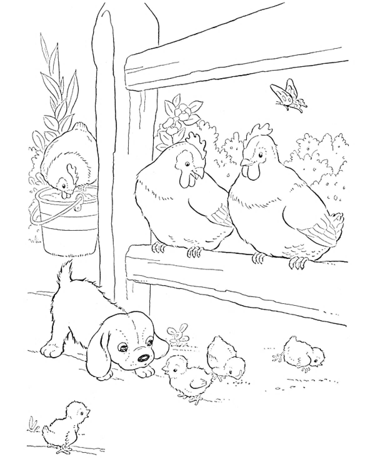 На раскраске изображено: Цыплята, Забор, Деревня, Бабочка, Цветок в горшке