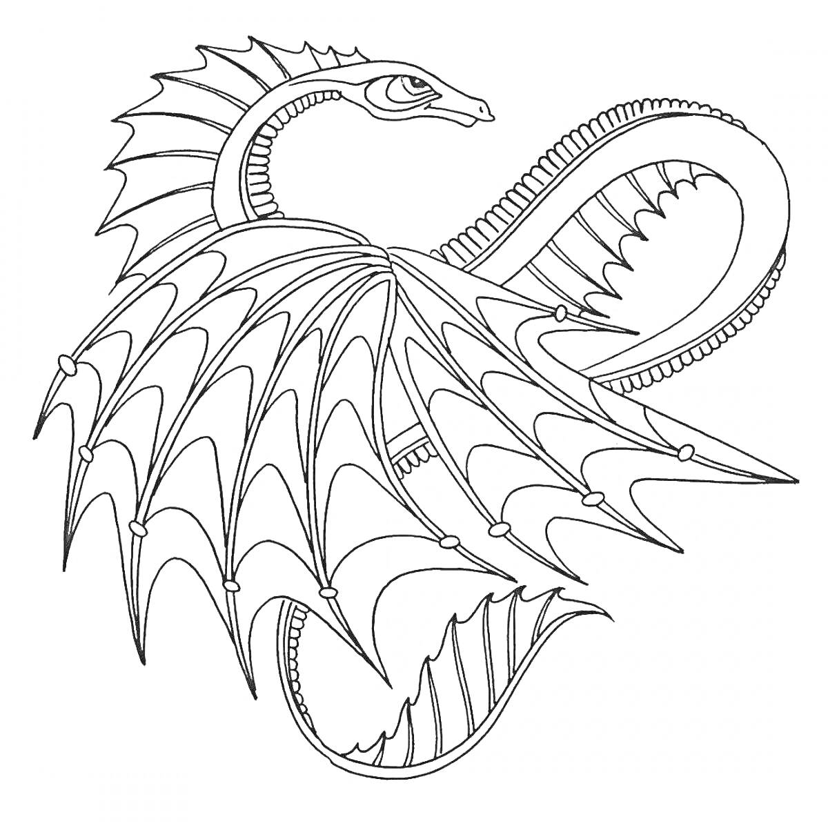 Раскраска Летающий дракон с развёрнутыми крыльями и извивающимся телом